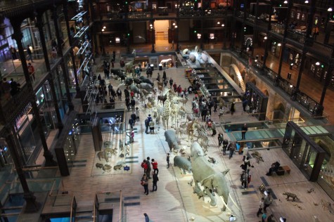 Natural history museum in Paris.